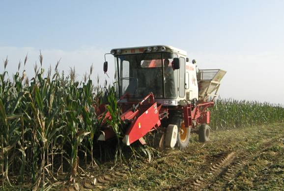 ����������������ո��ۺ����ù�����Ч����