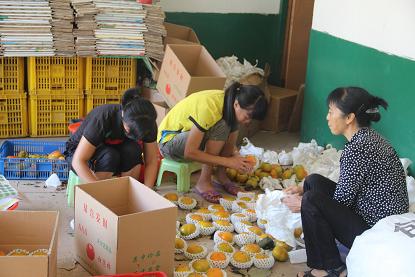 ������������������Ʒ���������