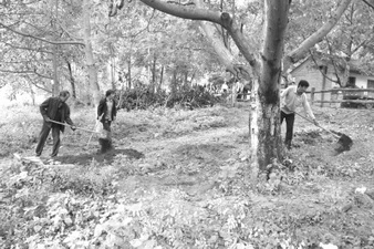 ����¤����̨����ĥ����Ҵ����