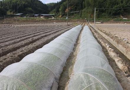 ����������＾����ݫ�Ĳ��ø��Ƿ���������