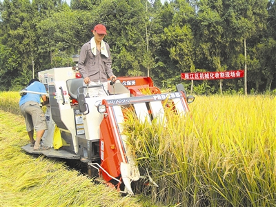 ���������ִ�ũҵ��չ������