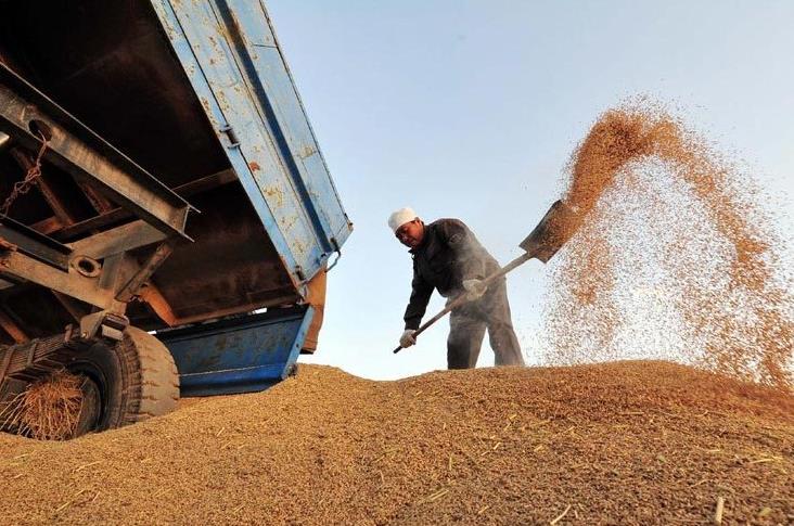 10��9�գ������Ļ���������ũ�Ѽ���ůȪũ���ڣ�������Ա����������������ˮ��