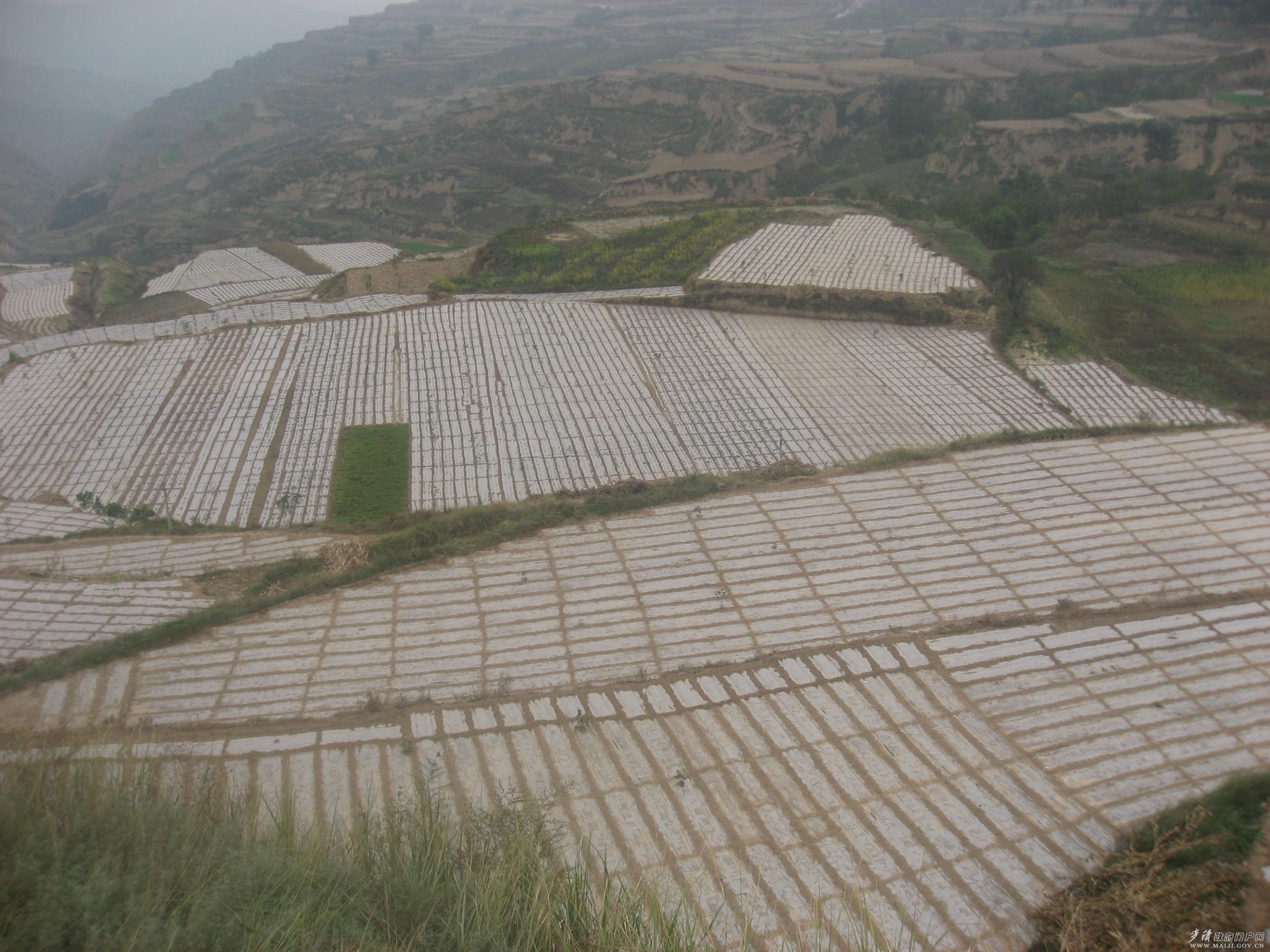 ������ˮ�����������＾��Ĥ�����߳�