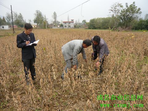 �������ũ�����ļ�����Ա���д󶹸߲�������Ŀ�����