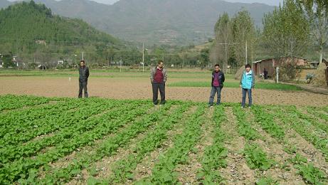 ����������ӹ���վ������Ա�鿴�����Ͳ�չʾʾ��������״��