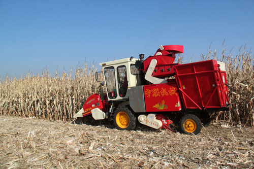 ���ɹ���������ũ�����ղ��ٳ� �����ջ����Ϊ�������ð�ʽ��