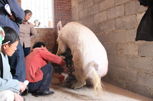 ��������������ҽ�־ٰ�������տƼ�����2