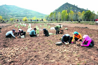 ����崲��ذ������������������ս���ʱ