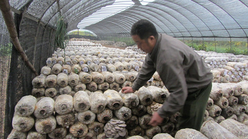 ���콭��ư�Ǭ����������������¸�����