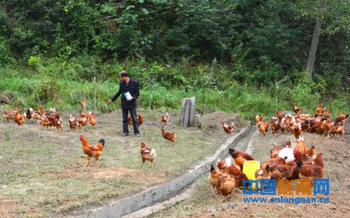 ���࿵�أ�������չ��̬��ֳ��ҵ