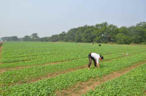 ���ϵ��ء�˫���������ƶ��Ͳ�����