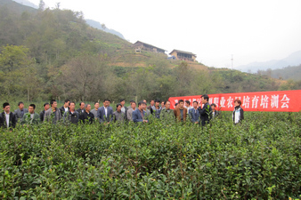 ����¤���䶼��ũ��У������չ����ְҵũ������ѵ����