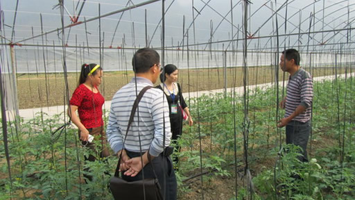 ����������פ��Ѳ�� ָ�������߲�����