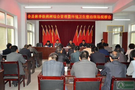 ��������ٿ�2013ȫ���＾�������ۺϹ����ֳ���