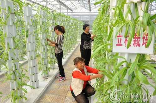 ɽ���ɽ��������������߲�԰