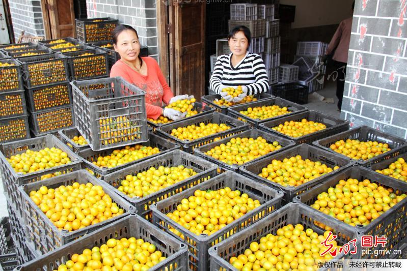 �����촨����۲�ҵ��ũ���¸����𶹶���