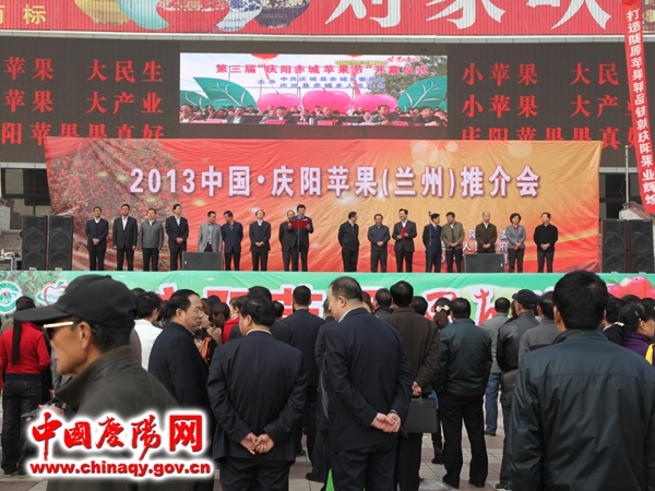 2013�й�������ƻ���ƽ�������ݾ���