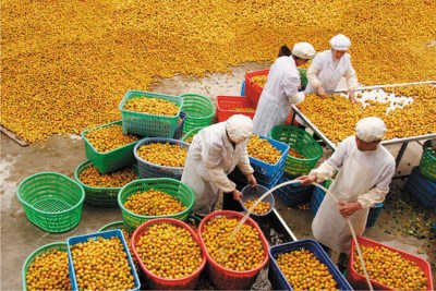 ���������⡱������������