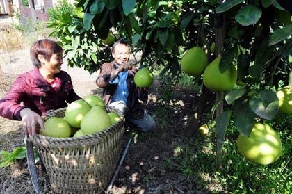 �����뽭��ʮ����ļ��� ������԰����