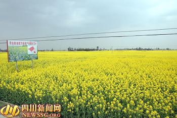 ũҵ���Ͳ���Ķ�߲�����ʾ��Ƭ