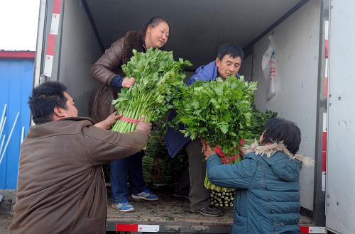 11��19�գ���������Ӫũҵ�����繤���ڽ��۲�װ����