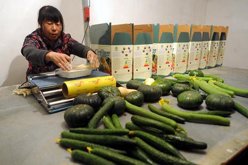 11��19�գ����ݾ�����԰ũҵ�����繤���ڰ�װ�����߲ˡ�