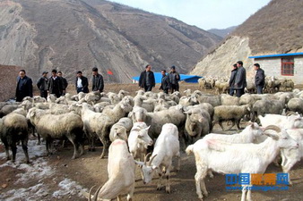 �������ش�����չ������ֳҵ