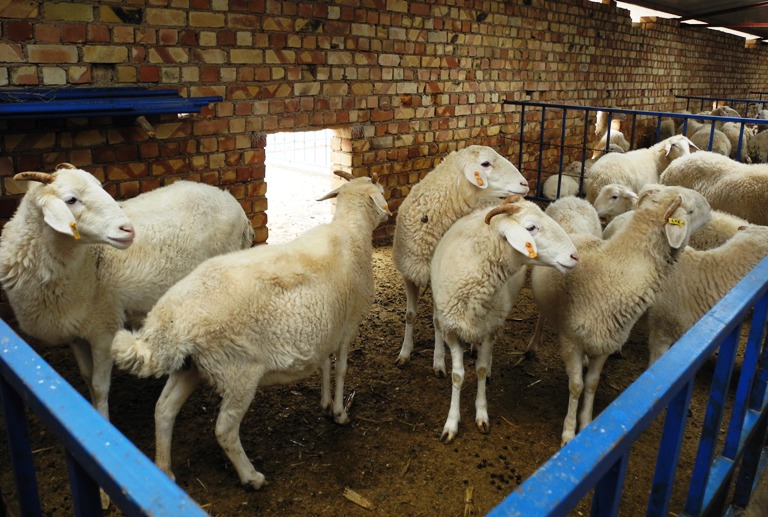 ������ˮ��������ҽ�ֶ�2013��ȫ��������׼�����蹤������ר��������2