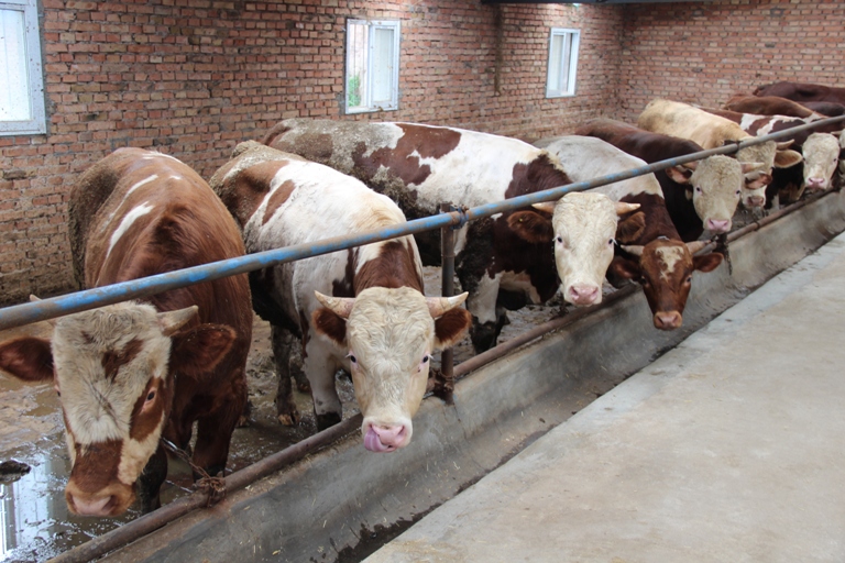 ������ˮ��������ҽ�ֶ�2013��ȫ��������׼�����蹤������ר��������3