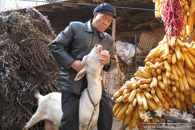 ������ˮ��Ϊ������ֳ���������������ҽ������