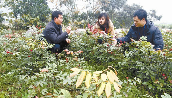 �Ĵ���ɽ����¥���߳���ҵ��ƶ·