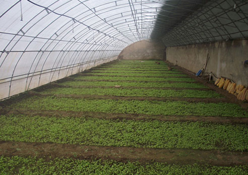 �����żҴ����߲����繤����չ����