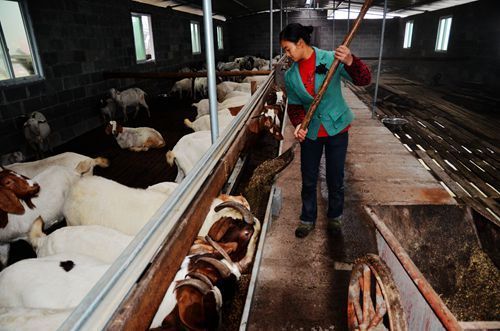 �����뽭���ӷ�����Ȧ�� ����˾������С�Ǯ��;