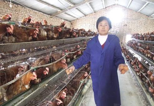 ������󵰼��������ؼ���Ͷ��