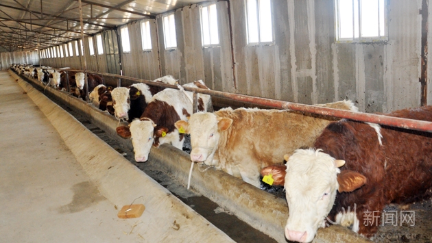 ������ˮ�������������ҵ�ܲ�ֵ2.9��Ԫ