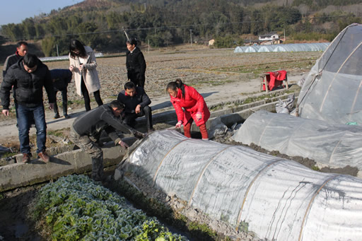 ����������פ��Ѳ�� ָ��������������