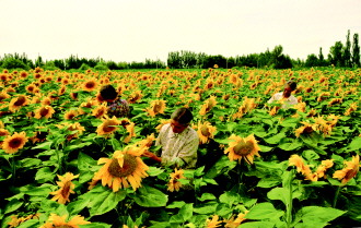 �������ţ�����ũҵƷ��������һ��ҵ2