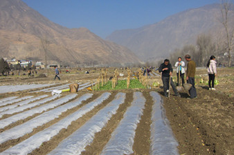 ����崲���ɳ��Ƭ���������������ֹ���ȫ��չ��