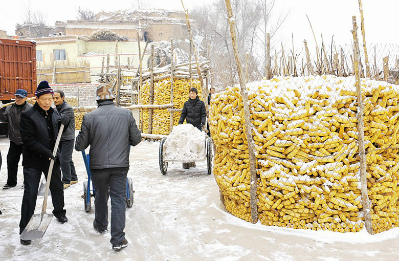 ɽ�������������ж���