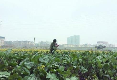 �����ֳǣ�ũ����Աһ������7���Ԫ