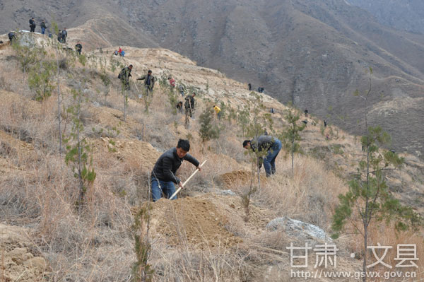 ���紺���磭���������ٽ��綫��巢չ��̬��ɫũҵ���