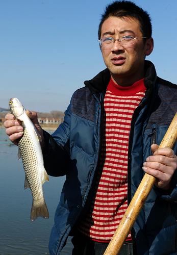 2��11�գ�ɽ����̨��ֳ��������չʾһ�����㡣����ֳ���ġ�����β���㣬�򺣱���ʧ����