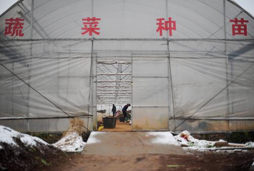 ���ϳ����У��Ϻ����������� ���־ٴ������