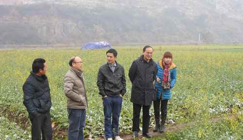 ���ϳ���������������Ӧ�Ե�ǰ��ѩ���� �Ĵ�ʩץ��ũҵ����