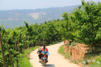 �������ݣ�����ũҵǿ����ͷ��