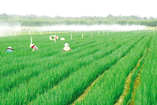 �������ݡ����ϡ����� ��Ķ������