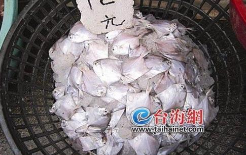 ����������С����ʼ��������