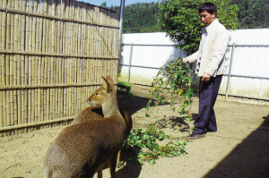 �����Ͼ������޴���������ֳ ����������ӵ���������