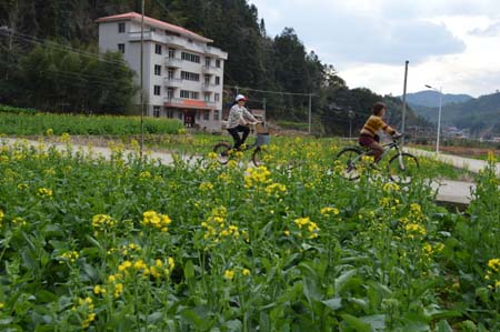 ��������Ͳ˻��������