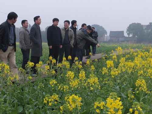 ���������и��г��ֳ�ָ������-��-�͡��������Ͳ�ʾ������